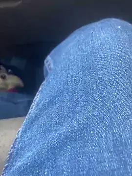 Pedro98801 online show from February 2, 2026, 11:48 pm