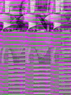 WWGD69 online show from October 31, 2025, 11:40 am