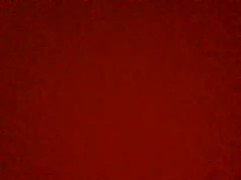 YukiLy online show from October 27, 2025, 11:55 am