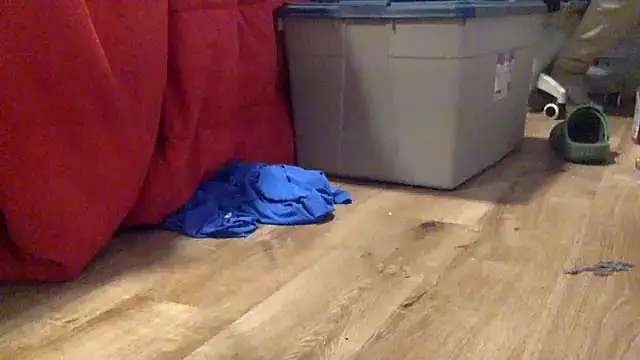 Snapshot of edger4lif3 chatting on September 19, 2025, 4:33 pm edger4lif3 online show from September 19, 2025, 4:33 pm