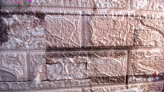 Bicky 24 online show from March 6, 2026, 9:26 am