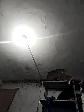 Ferxxxo1503 online show from November 26, 2025, 4:23 am