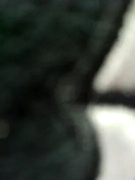 kata-00 online show from April 2, 2026, 6:09 am