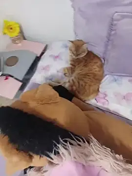 sweetdubros2 online show from March 8, 2026, 3:43 am