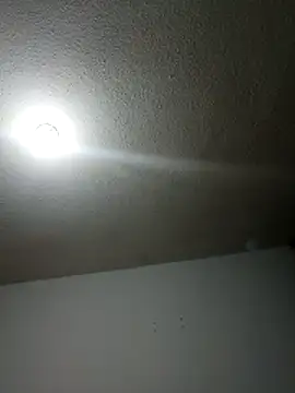 ZARAY 1118 online show from March 19, 2026, 2:55 am