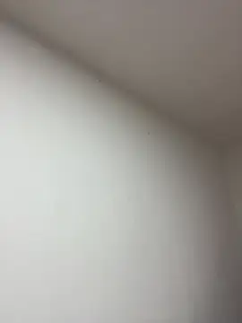 Anabelle 00  online show from March 22, 2026, 3:21 am