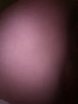 Snapshot of LatinGordis chatting on December 17, 2025, 3:44 am LatinGordis online show from December 17, 2025, 3:44 am