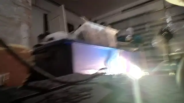 Snapshot of jasoncali305 chatting on September 19, 2025, 6:39 am jasoncali305 online show from September 19, 2025, 6:39 am