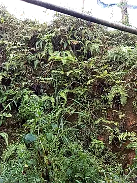 bonnie-00 online show from April 19, 2026, 11:07 pm