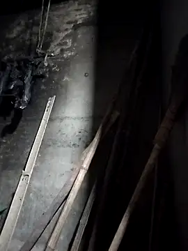 Dung x online show from March 23, 2026, 12:27 pm