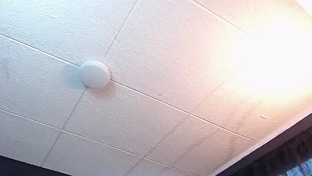 Snapshot of RichardMilleer chatting on February 16, 2026, 1:43 pm RichardMilleer online show from February 16, 2026, 1:43 pm