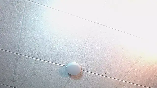 Snapshot of RichardMilleer chatting on November 12, 2025, 2:21 pm RichardMilleer online show from November 12, 2025, 2:21 pm