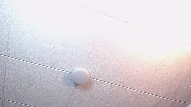 Snapshot of RichardMilleer chatting on February 24, 2026, 1:56 pm RichardMilleer online show from February 24, 2026, 1:56 pm