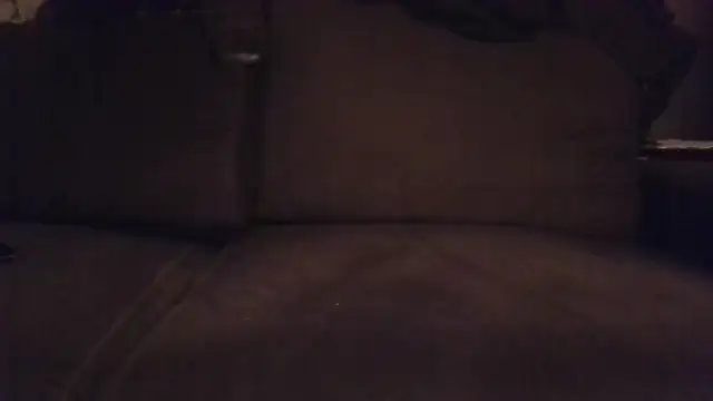 Snapshot of steef070 chatting on March 11, 2026, 8:47 pm steef070 online show from March 11, 2026, 8:47 pm