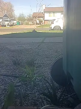 matatan0323 online show from March 29, 2026, 4:30 pm