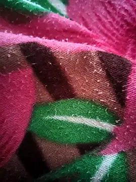 Snapshot of bold_guy_1234 chatting on October 15, 2025, 5:06 am bold guy 1234 online show from October 15, 2025, 5:06 am