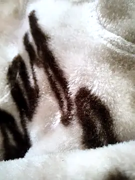 Snapshot of bold_guy_1234 chatting on December 17, 2025, 5:34 am bold guy 1234 online show from December 17, 2025, 5:34 am