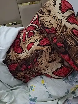 Feel the Fun online show from February 28, 2026, 5:23 pm