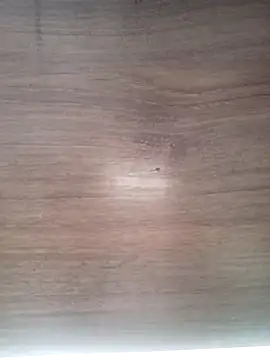 ValeriaLove43211 online show from March 31, 2026, 7:21 am