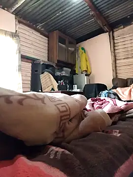 Snapshot of horsepower1988 chatting on September 23, 2025, 5:47 am horsepower1988 online show from September 23, 2025, 5:47 am