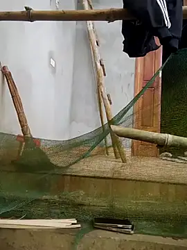 phuongxinhxan online show from March 21, 2026, 1:18 am