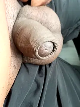 preto3561 online show from September 28, 2025, 1:18 pm