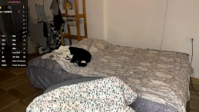 SabrinaFolts online show from December 2, 2025, 3:36 pm