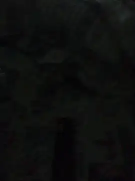 Snapshot of tiago1981pt chatting on September 23, 2025, 12:39 am tiago1981pt online show from September 23, 2025, 12:39 am