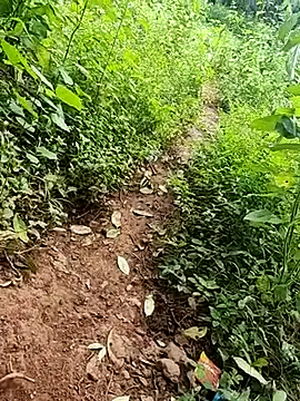 telugumodda4396 online show from September 26, 2025, 6:31 am