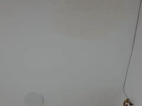 Snapshot of Alice_pussyhairy chatting on October 2, 2025, 10:40 am Alice pussyhairy online show from October 2, 2025, 10:40 am