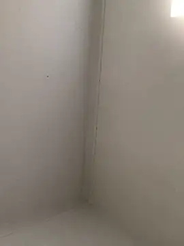 Snapshot of Fun_size86 chatting on October 4, 2025, 4:41 pm Fun size86 online show from October 4, 2025, 4:41 pm