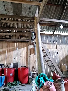 xuxulovezz online show from April 4, 2026, 4:41 am