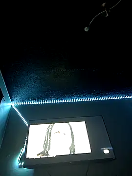 Painstickwes online show from February 5, 2026, 9:54 pm