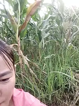 Snapshot of Meomeo-meo chatting on October 29, 2025, 1:04 am Meomeo-meo online show from October 29, 2025, 1:04 am