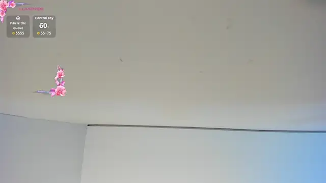 Charlotte hall  online show from December 20, 2025, 3:53 am