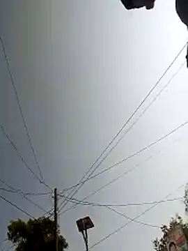 LesserUpset online show from November 13, 2025, 4:27 am