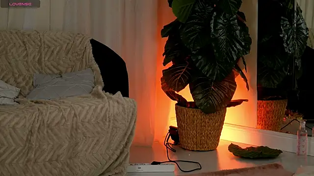 EvaAmanti online show from January 11, 2026, 4:41 am