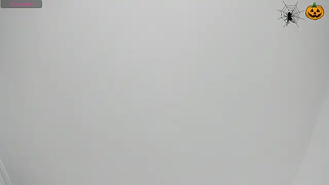 sofi laane online show from November 5, 2025, 11:35 am