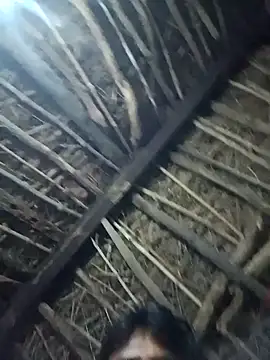 Snapshot of Lona2525 chatting on October 20, 2025, 7:36 pm Lona2525 online show from October 20, 2025, 7:36 pm