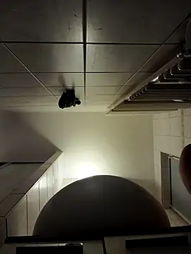 stivi2526 online show from November 27, 2025, 7:25 pm