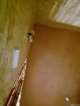 Snapshot of Apeesynka55211 chatting on November 1, 2025, 7:24 am Apeesynka55211 online show from November 1, 2025, 7:24 am