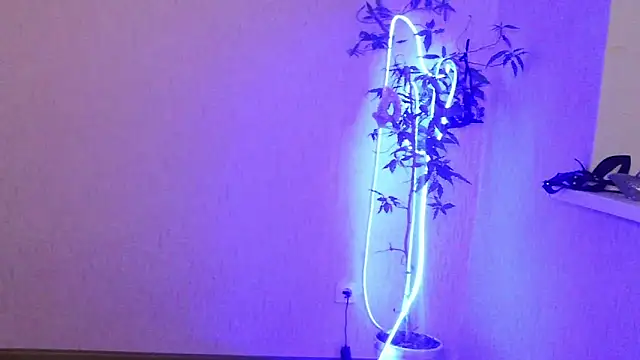 Ashley Brookss online show from December 13, 2025, 8:04 pm