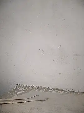 Snapshot of PEEHU-50 chatting on November 12, 2025, 11:30 pm PEEHU-50 online show from November 12, 2025, 11:30 pm