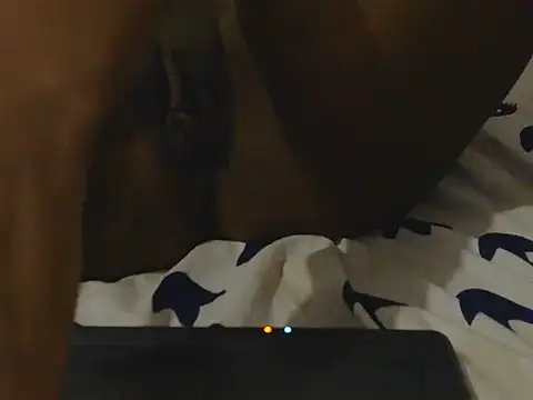 Snapshot of Sweetverah000 chatting on October 5, 2025, 8:32 pm Sweetverah000 online show from October 5, 2025, 8:32 pm