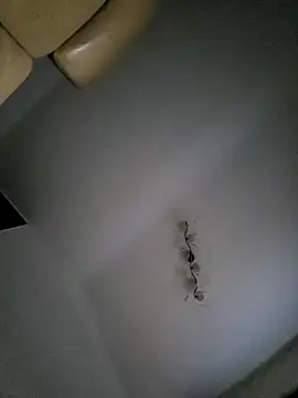 rezzzze online show from October 25, 2025, 8:24 am