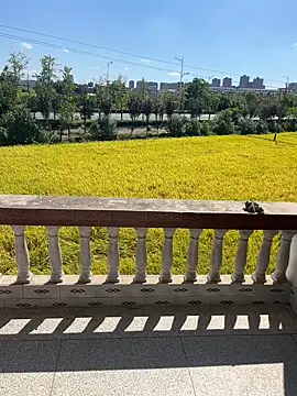 Snapshot of dachui_168 chatting on October 6, 2025, 3:29 am dachui 168 online show from October 6, 2025, 3:29 am