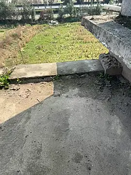 Snapshot of dachui_168 chatting on February 5, 2026, 3:24 am dachui 168 online show from February 5, 2026, 3:24 am