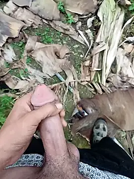 Sikici0734 online show from November 13, 2025, 9:24 am