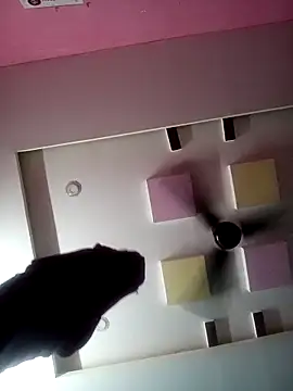 Snapshot of supcpl chatting on February 1, 2026, 6:06 pm supcpl online show from February 1, 2026, 6:06 pm