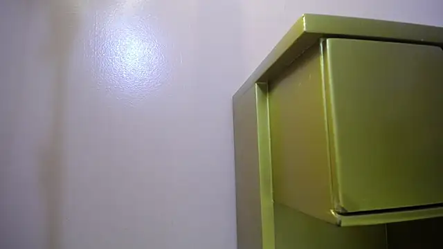 Snapshot of Alanna_Foxx_ chatting on October 31, 2025, 6:37 pm Alanna Foxx online show from October 31, 2025, 6:37 pm